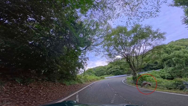 金甲山